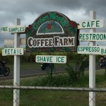Green World Coffee Farm（グリーンワールド・コーヒーファーム）